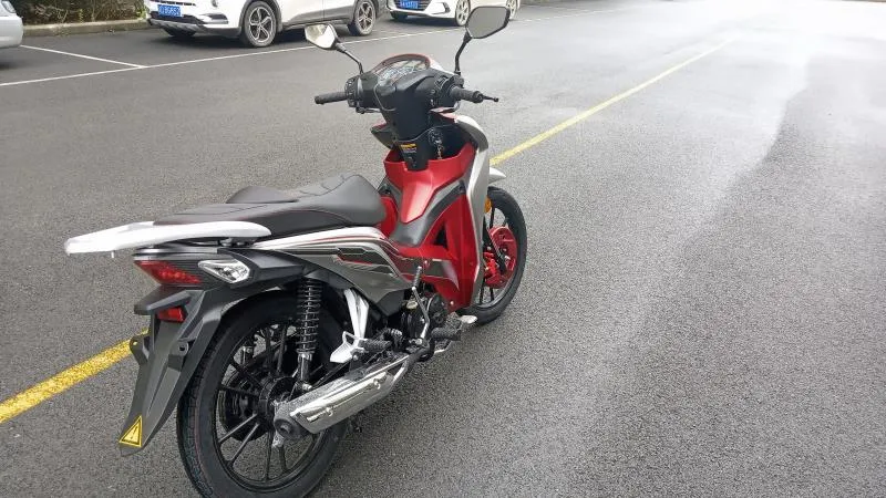 110cc Cub Motorcycle Street Bike (HD110-6D)