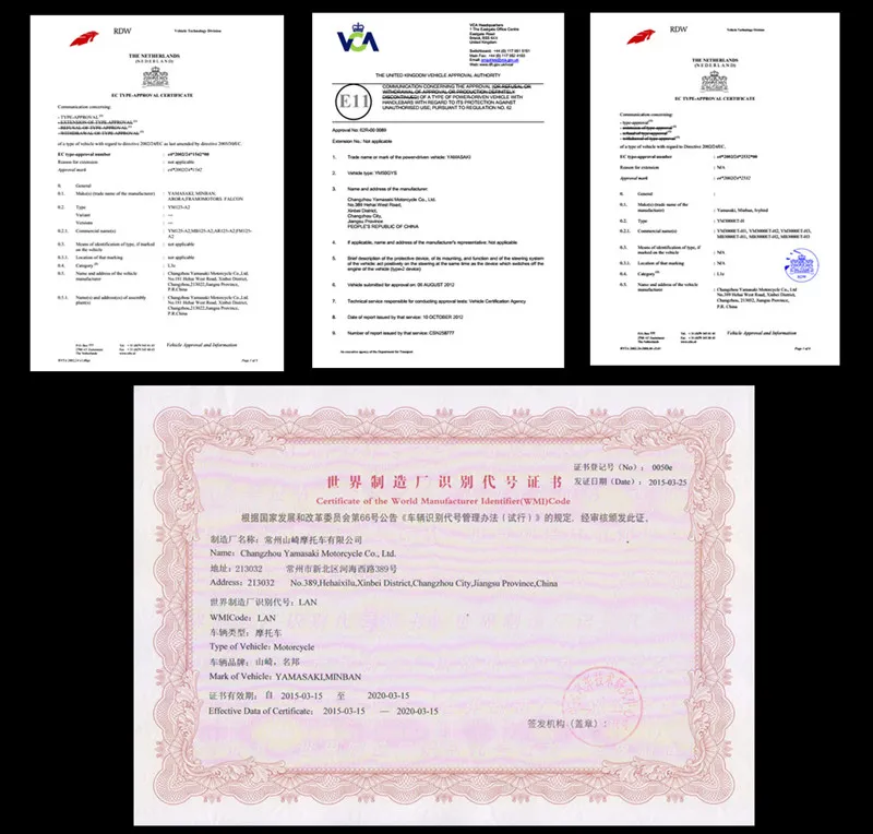 110cc Three Wheel Motorcycle Gas Trike with Rear Box