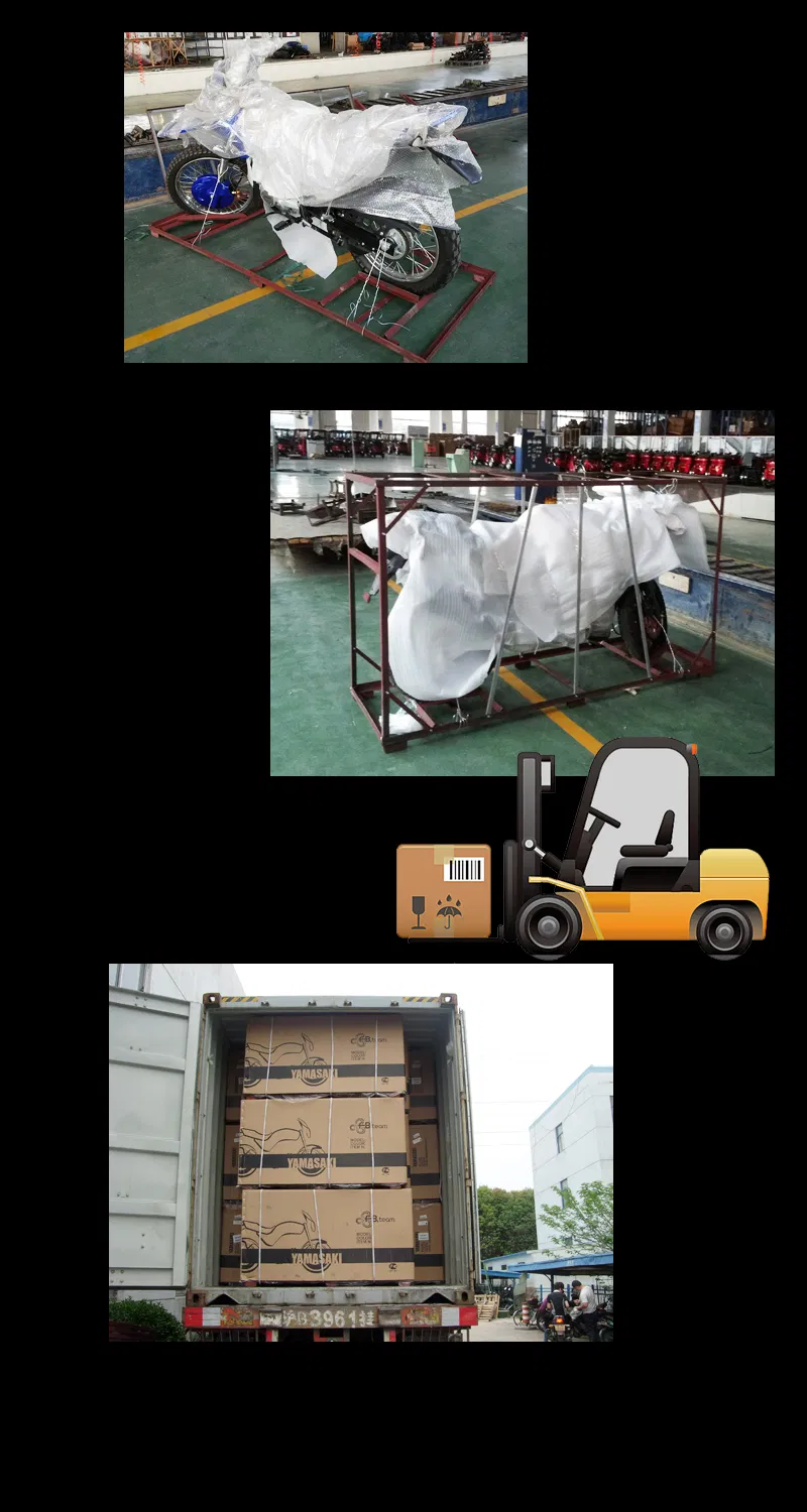 110cc Three Wheel Motorcycle Gas Trike with Rear Box