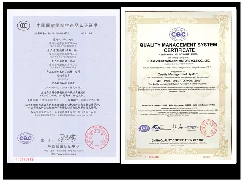 110cc Three Wheel Motorcycle Gas Trike with Rear Box