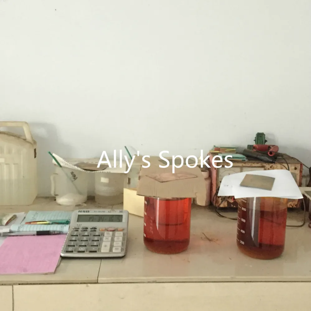 13G*308mm Wheel Rims Bicycle Frame Motorcycle Accessories Parts Bike Bicycle Parts Bicycle Spoke for America, Canada, European