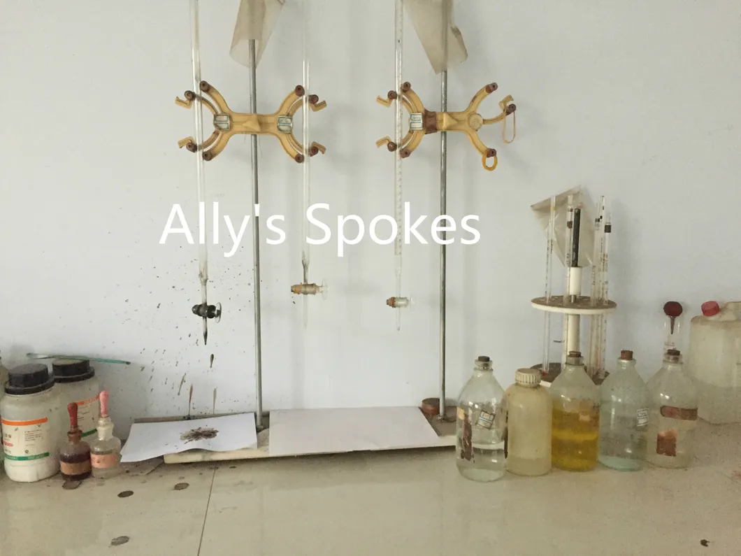 13G*308mm Wheel Rims Bicycle Frame Motorcycle Parts Bike Bicycle Parts Bicycle Spoke and Nipple for America, Canada, European