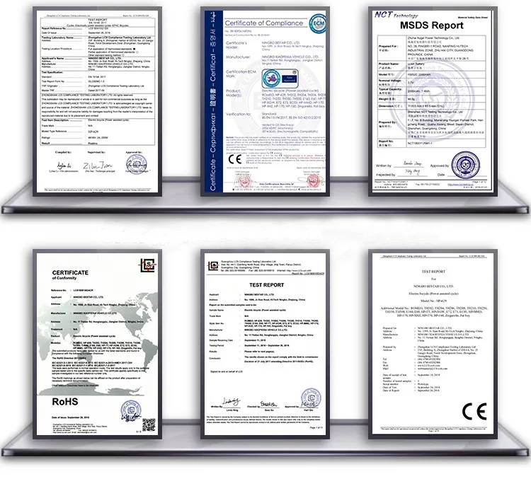 1500W Racing Electric Motorcycle (EM-002)