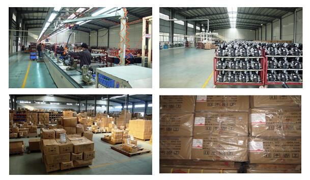 125cc/150cc Gas Cg125/Cg150 High Class Cg Model Alloy Wheel Motorbike/Motorcycle (SL125-D1)