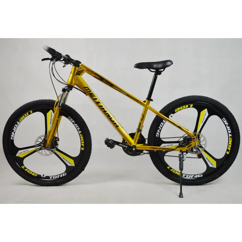 20/24/26 "21 Speed /24 Double Disc Brake Mountain Bike