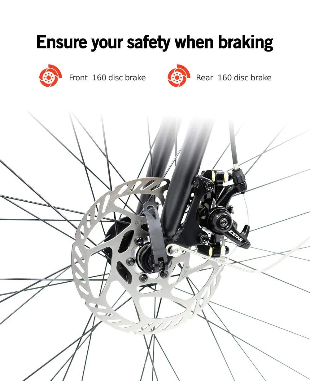 20 Inch Lightweight City Electric Folding Bike for Adults