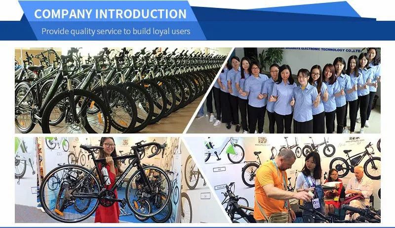 20 Inch Lightweight City Electric Folding Bike for Adults