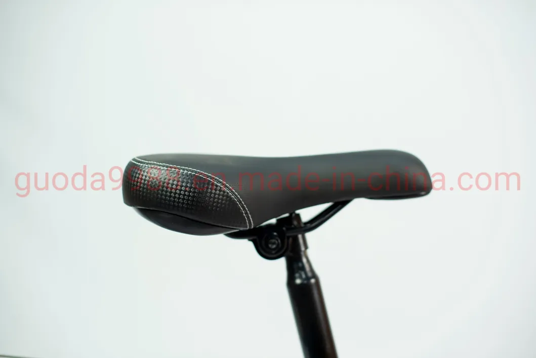 20-Inch Steel Frame Folding Bike for Adult Mini Bike