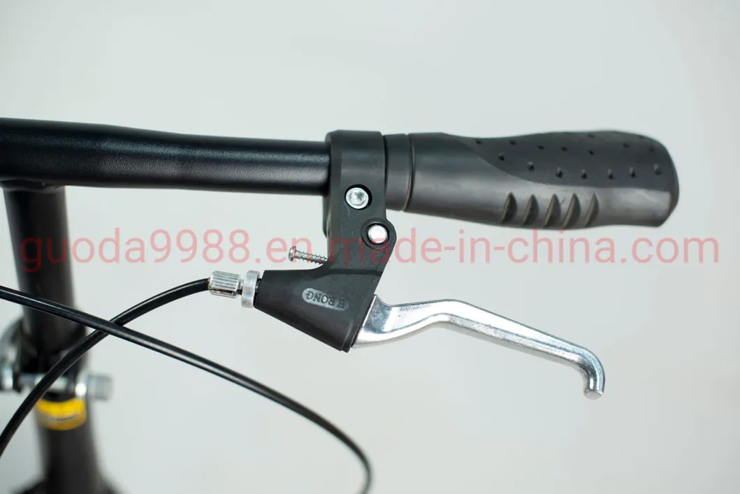 20-Inch Steel Frame Folding Bike for Adult Mini Bike