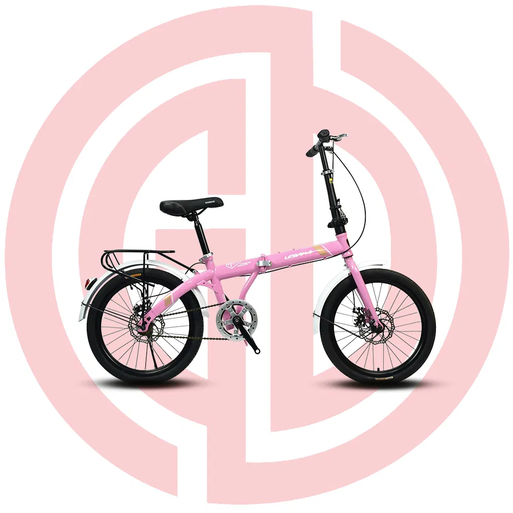 20-Inch Steel Frame Folding Bike for Adult Mini Bike