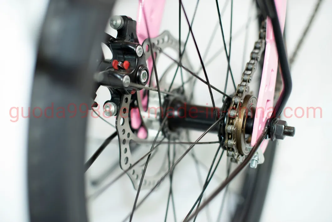 20-Inch Steel Frame Folding Bike for Adult Mini Bike