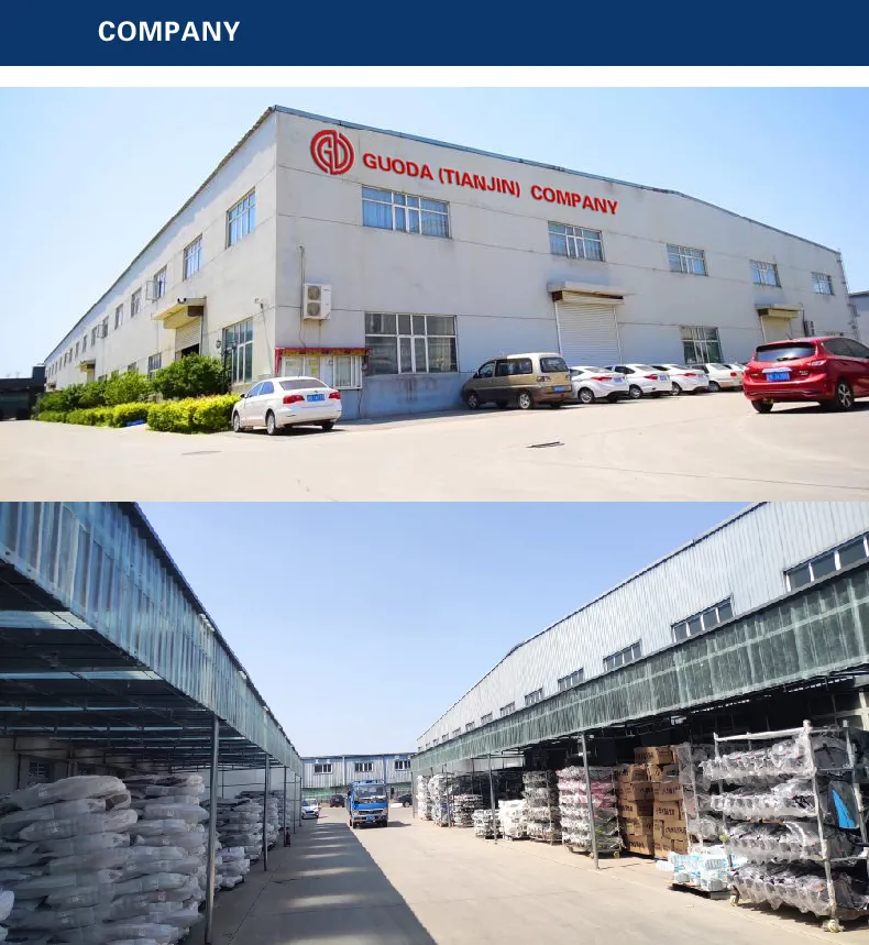 20-Inch Steel Frame Folding Bike for Adult Mini Bike