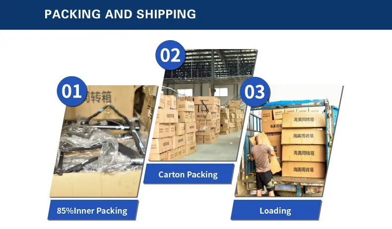 20-Inch Steel Frame Folding Bike for Adult Mini Bike