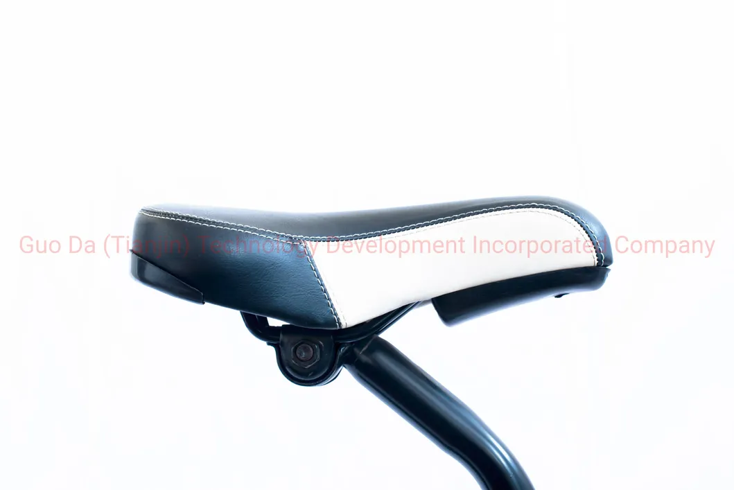 20 Inches Adult Bicycle BMX Bike CE Certification