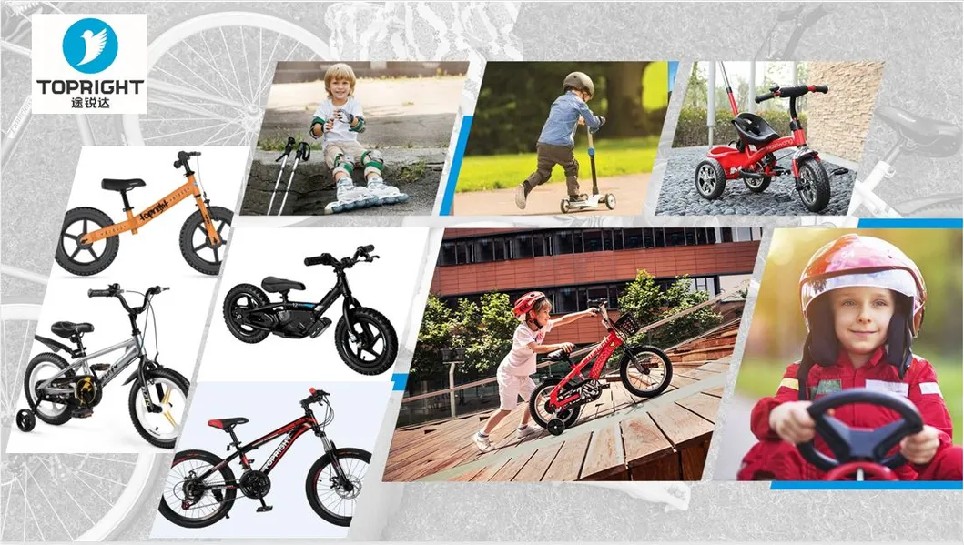 20′ ′ New Fashion Design Pink Color Girl′ S Mountain Bike Teeneger Bicycle