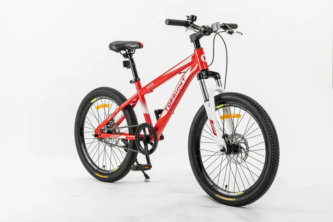 20′ ′ New Fashion Design Pink Color Girl′ S Mountain Bike Teeneger Bicycle