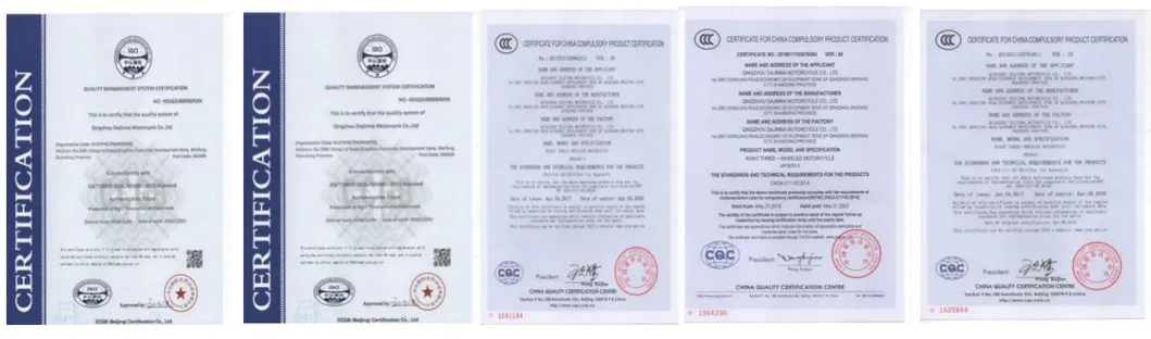 2020 Auto Electric Tricycle Vehicle with EEC L2e Homologation for Hot Sale in Europe