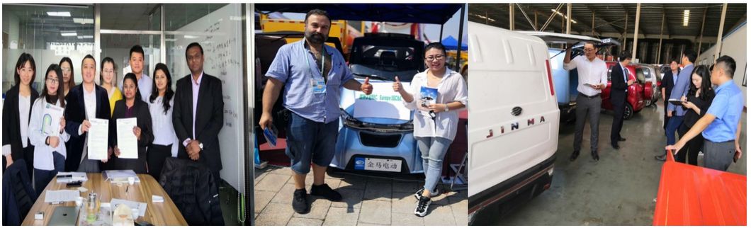 2020 Brand New EEC L2e Electric Tricycle for Hot Sale