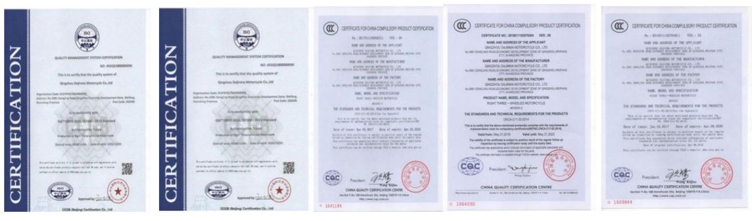 2020 Brand New Electric Tricycle Car with 1500W Motor for Hot Sale