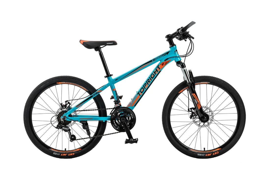 2021 Factory Price Mountain Bike MTB Bicycle for Men/Alloy Mountain Bike/24 Inch Downhill Mountain Bike