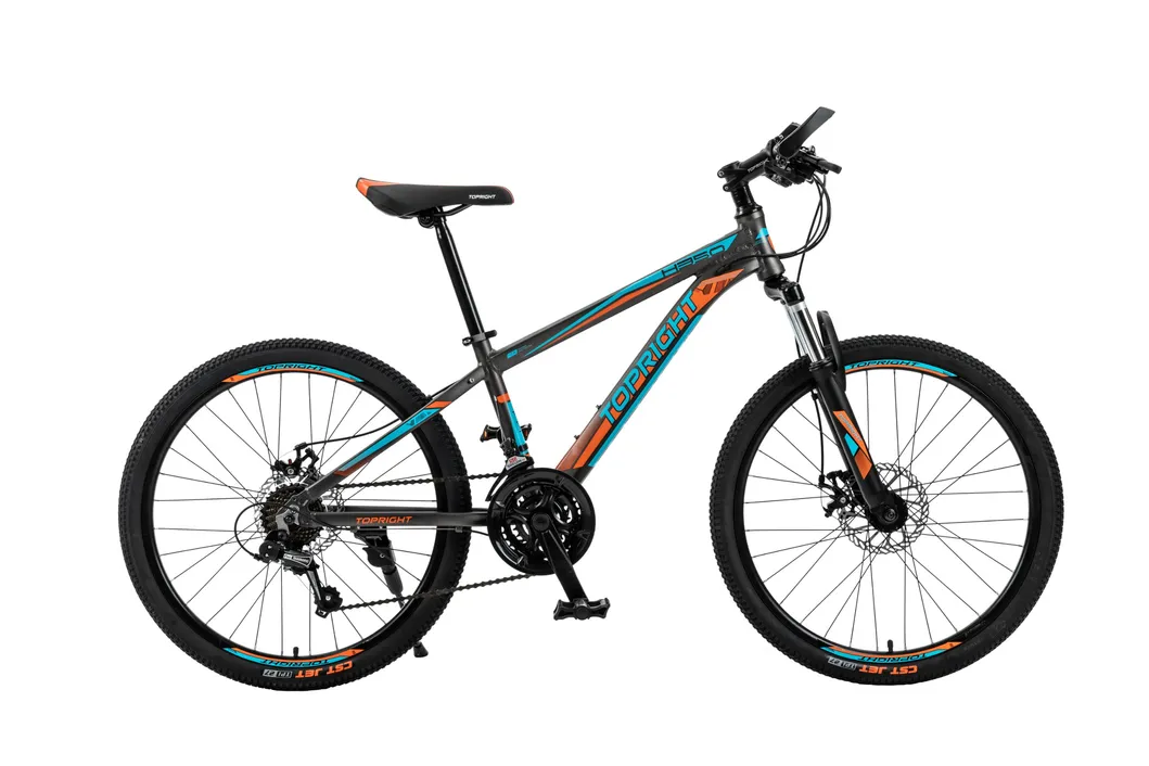 2021 Factory Price Mountain Bike MTB Bicycle for Men/Alloy Mountain Bike/24 Inch Downhill Mountain Bike