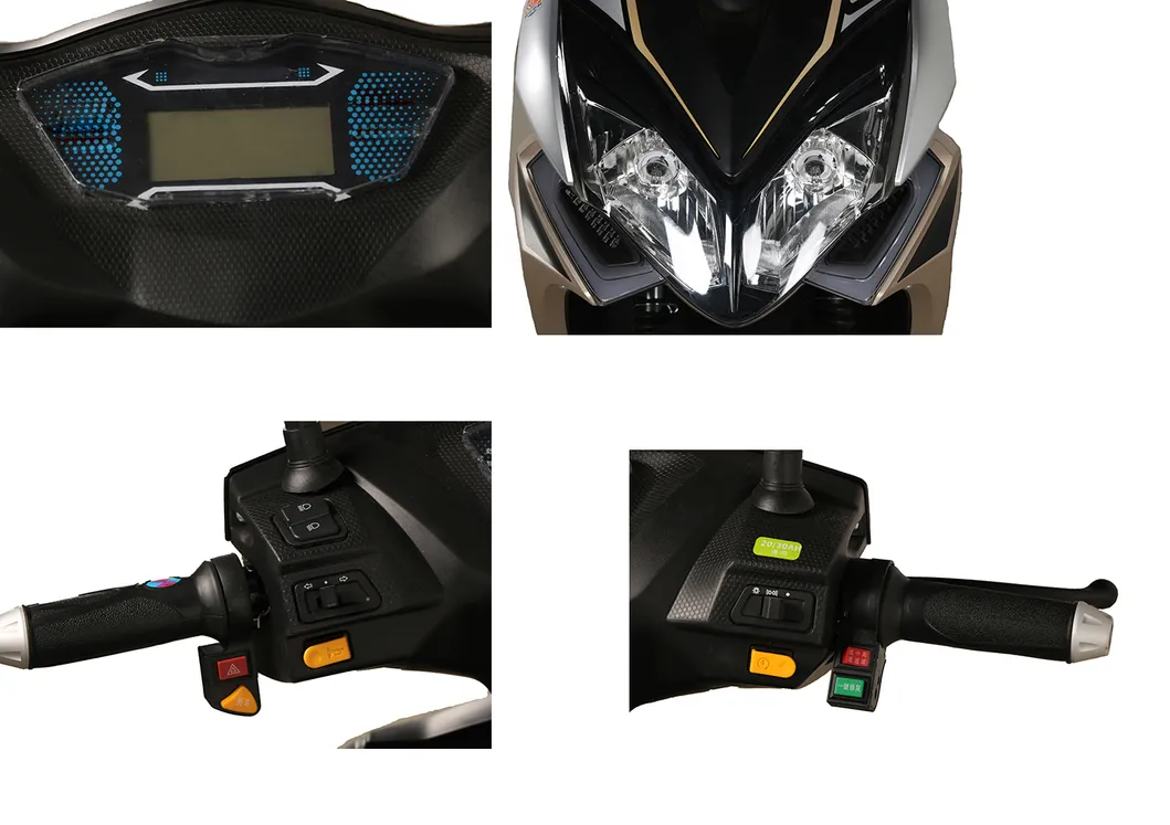 2021 New Model High Quality Electric Scooter with EEC Certificate Electric Motorcycle of Two Wheels