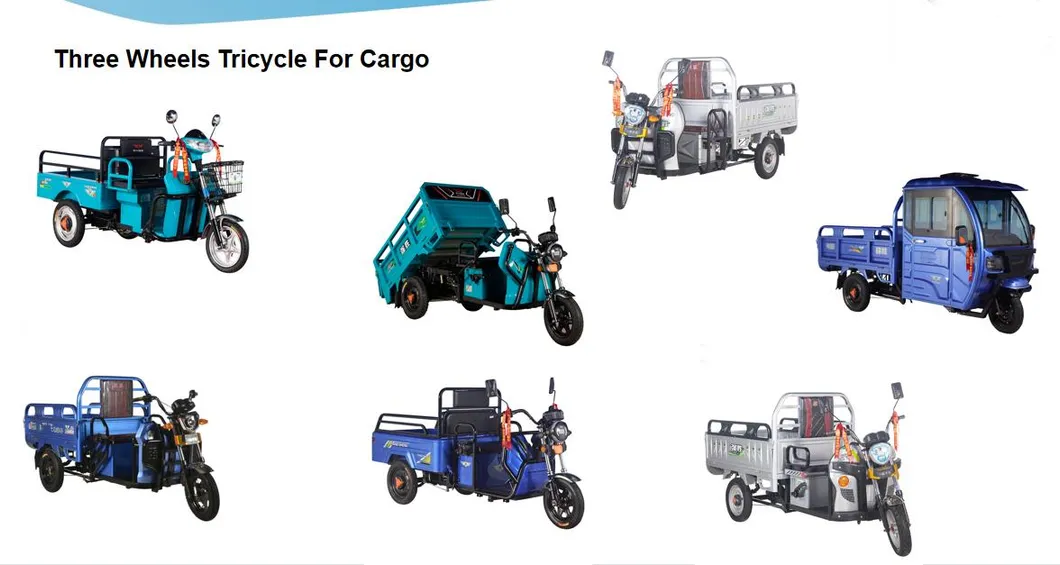 2021 New Model High Quality Electric Scooter with EEC Certificate Electric Motorcycle of Two Wheels