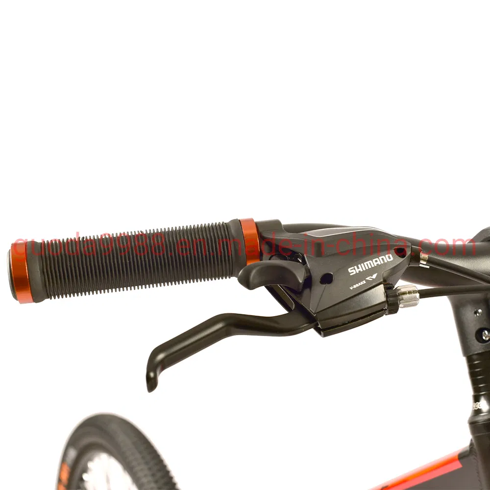 24 Inch 21 Speed Bike MTB Good Price Mountain Bicycle