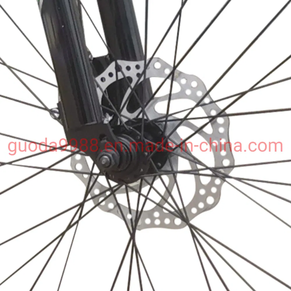 24 Inches Steel Frame OEM MTB Mountain Bike