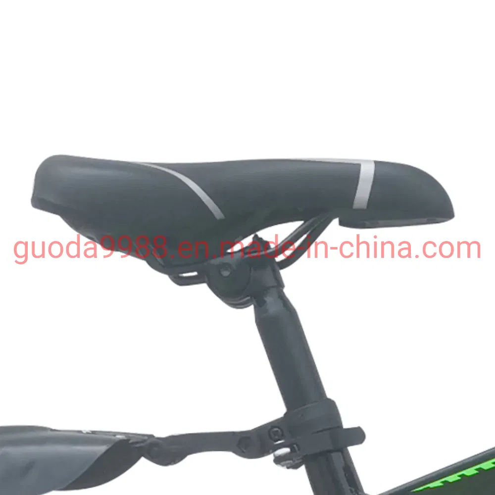 24 Inches Steel Frame OEM MTB Mountain Bike