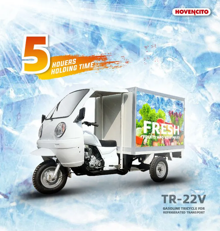 250cc Gasoline Refrigerated Tricycle for Food Delivery