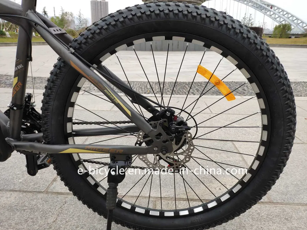 26*3.0inch Fat Bike Shimano 21 Speed Mountain Bicycle