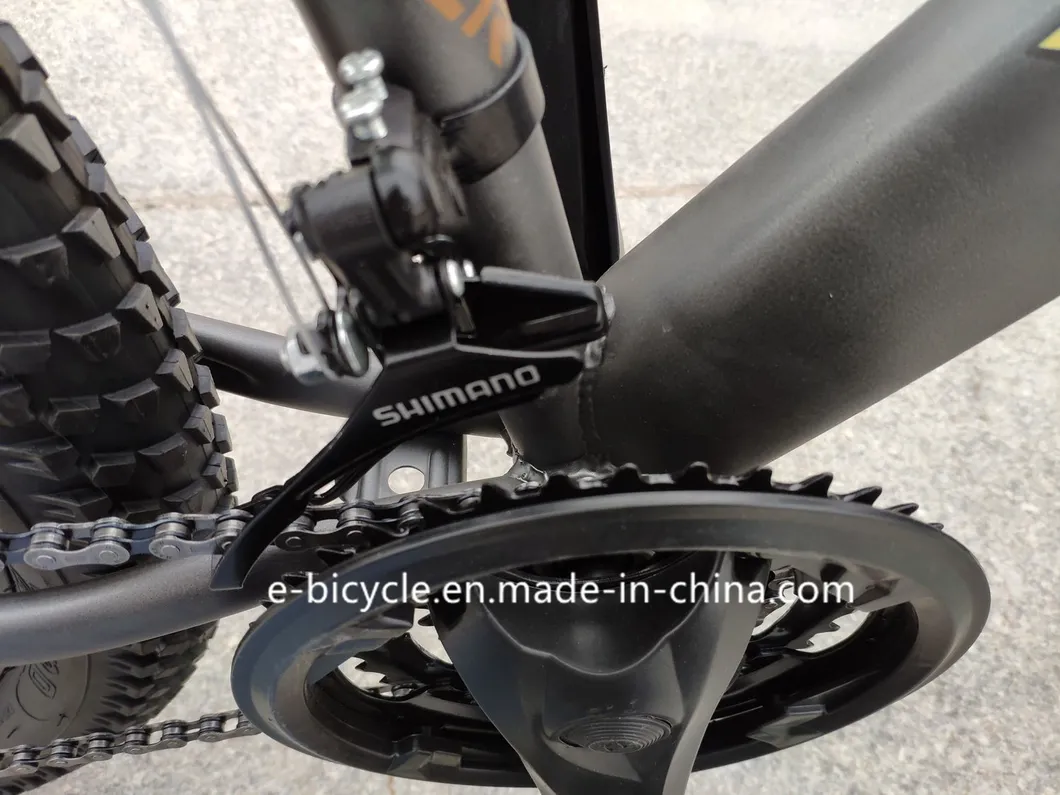 26*3.0inch Fat Bike Shimano 21 Speed Mountain Bicycle