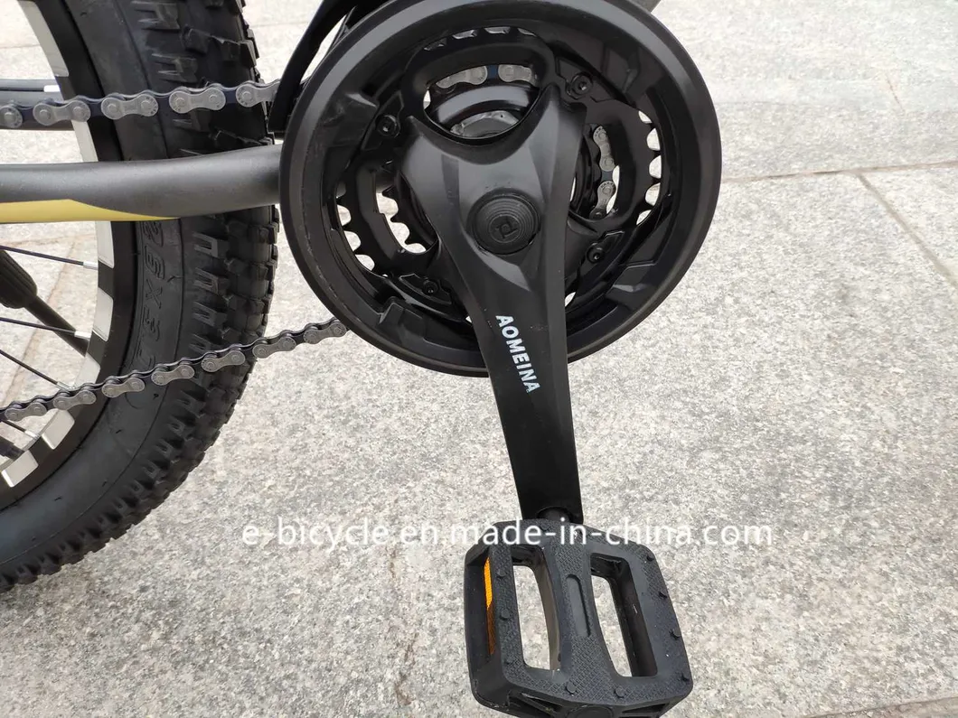 26*3.0inch Fat Bike Shimano 21 Speed Mountain Bicycle