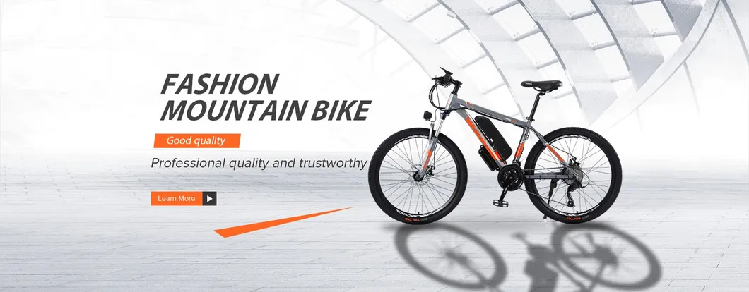 26*4.0 750W 1000W Big Power Fat Tire Electric Mountain E Bike/Snow Bike/Electric Bicycle with CE