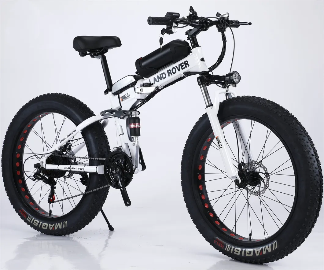 26*4.0 Inch Fat Tyre 350W Motor 48V Battery E Bike Mountain Bicycle with Gear 21 Speed