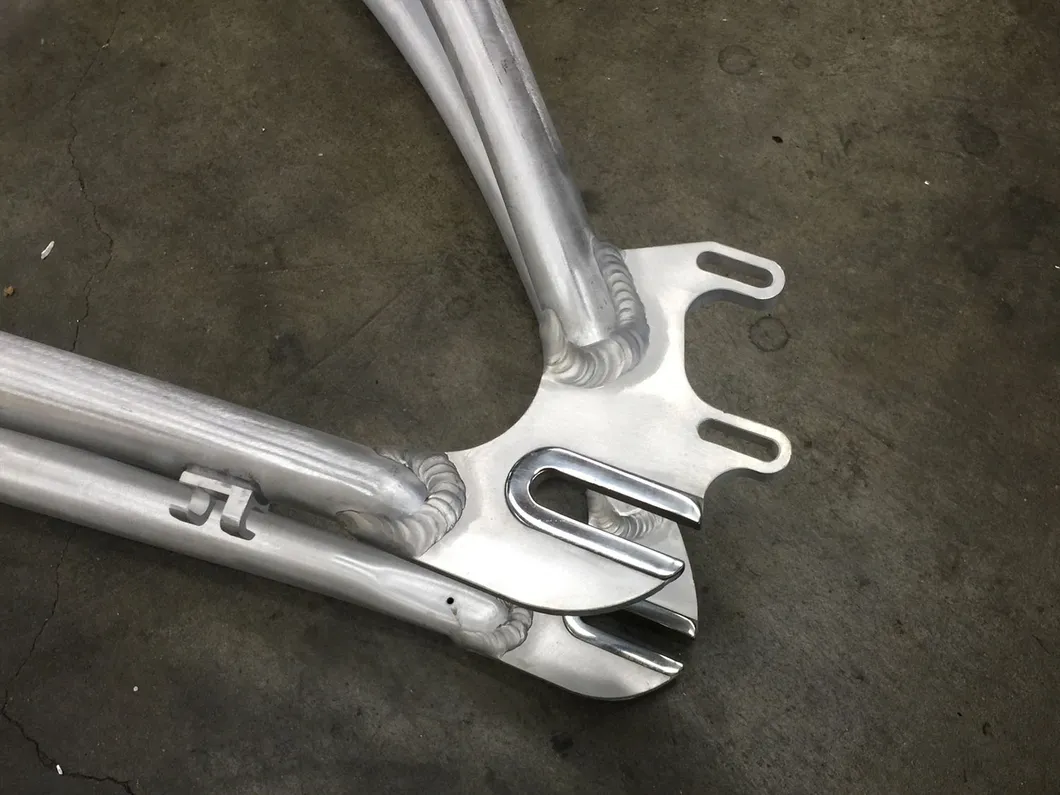 26"Electric Bicycle /Cargo Electric Bike/ E Mountain Bike (SY-E2633)