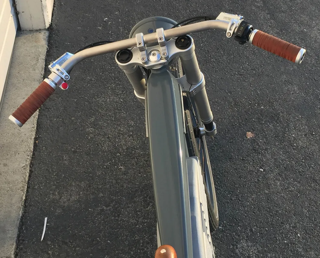 26"Electric Bicycle /Cargo Electric Bike/ E Mountain Bike (SY-E2633)