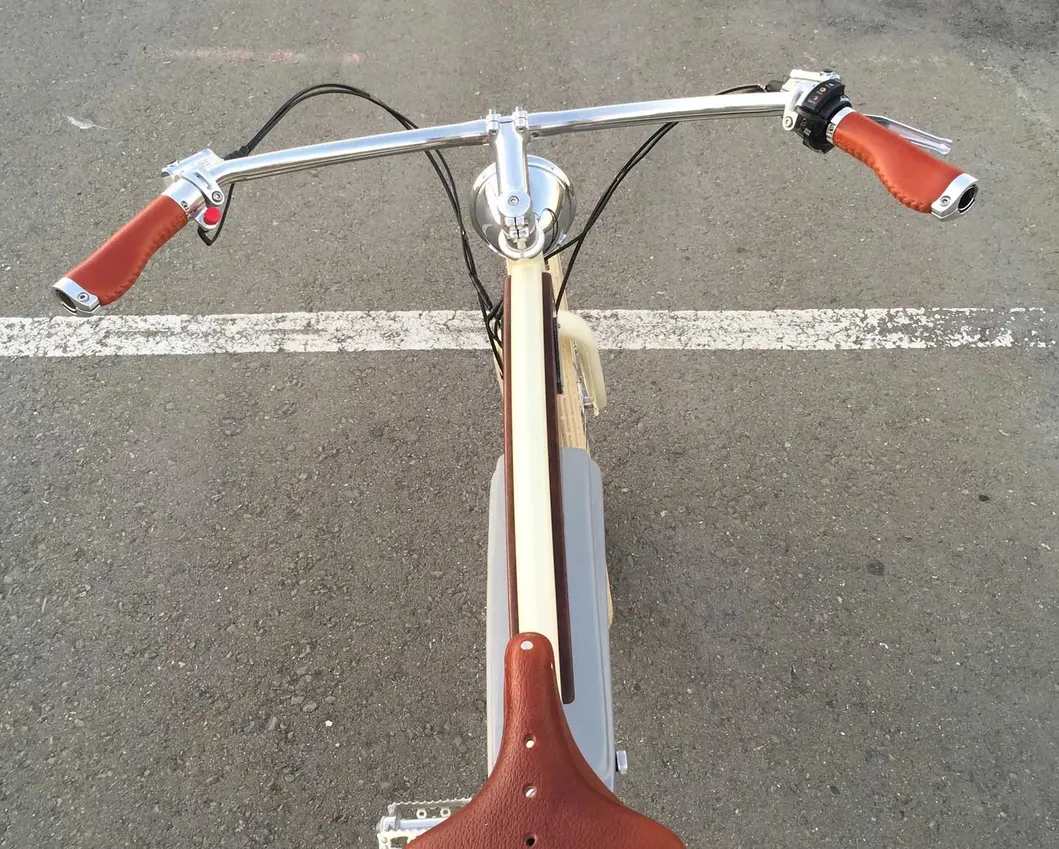 26" Electric Bike Bicycle/Lithium Battery E-Bike / E Mountain Bike (SY-E2636)