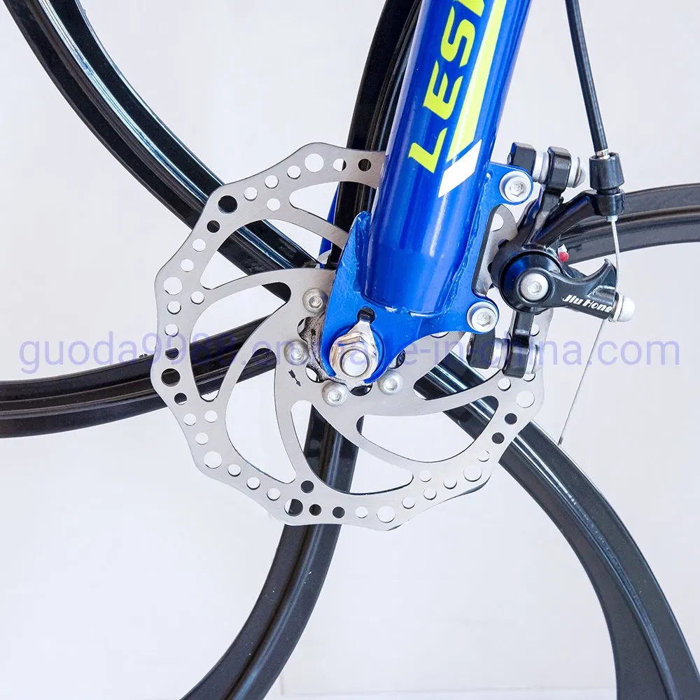 26 Inch 24 Speed Mountain Bicycle with CE Certification