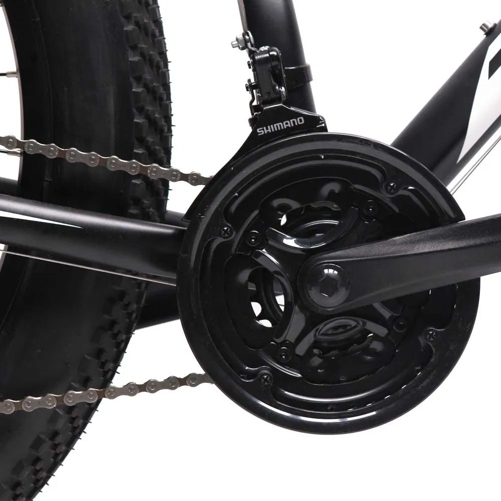 26′ ′ 4.0 Fat Tire Bicycle for Men/ OEM Mountain Fat Bike Fatbike Alloy Rims/ Popular Fat Tire Bicycle with Good Quality Tyre