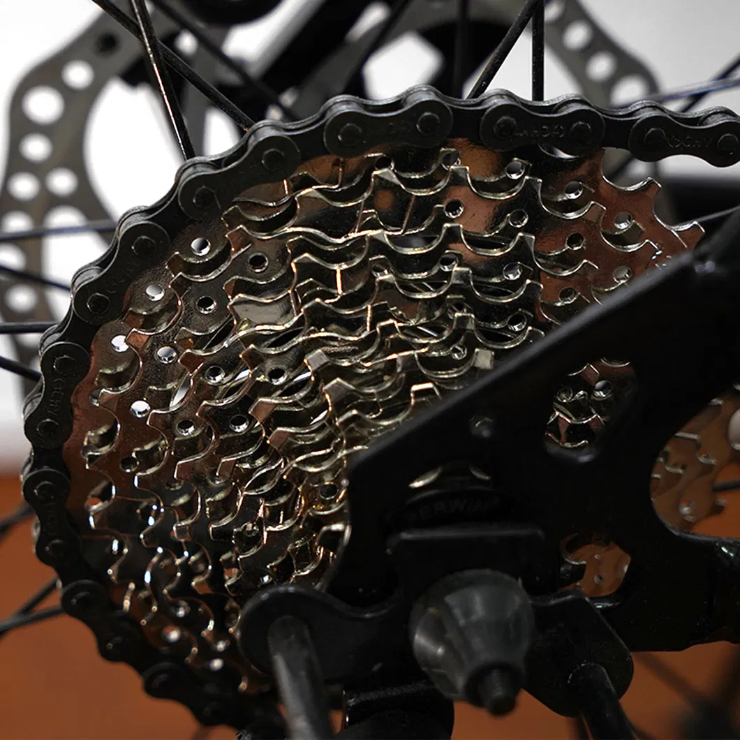 29inch Alloy Mountain Bicycle Mountain Bike MTB with 27 Speed and Disc Brake