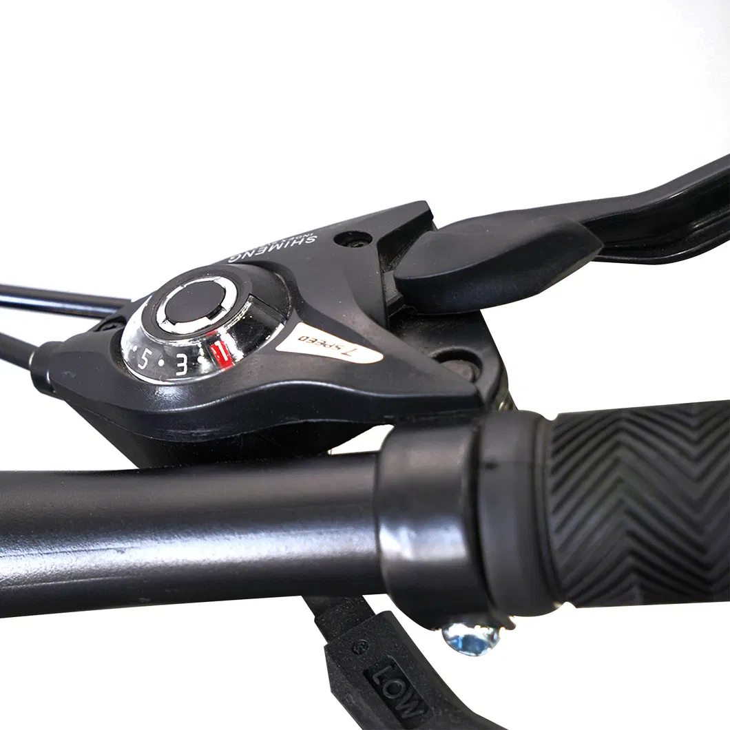 29inch Alloy Mountain Bicycle Mountain Bike MTB with 27 Speed and Disc Brake