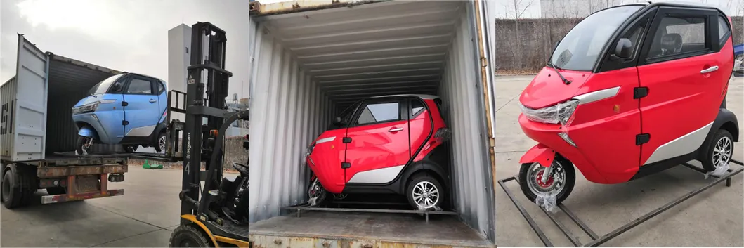 3 Wheel Electric Car with EEC Certificate for European Markt