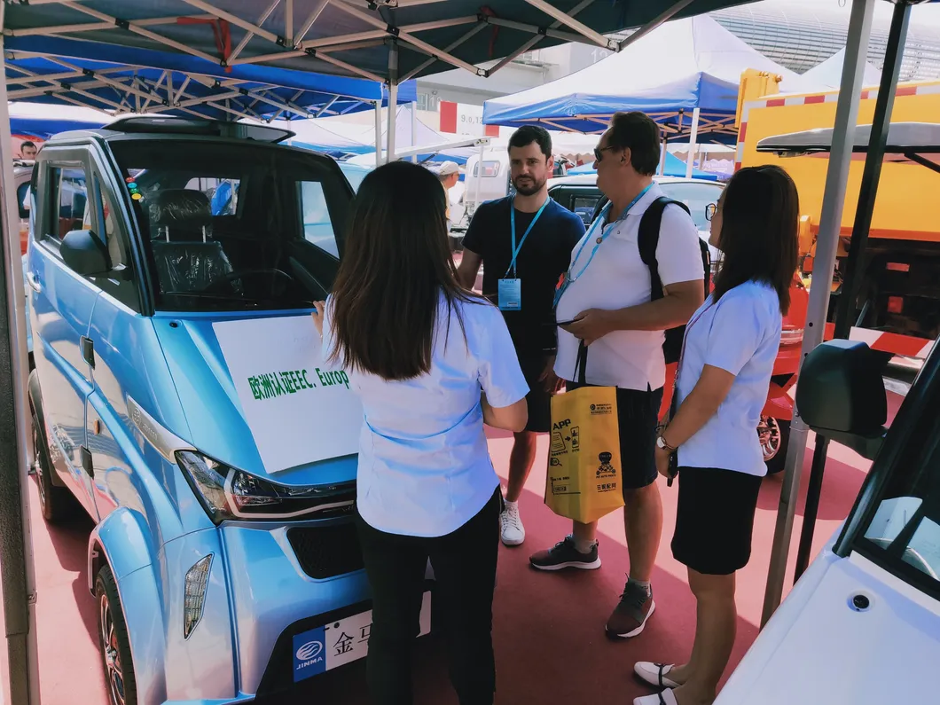 3 Wheel Electric Car with EEC Certificate for European Markt