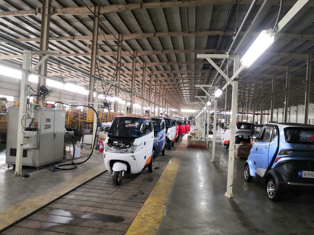 3 Wheel Electric Car with EEC Certificate for European Markt