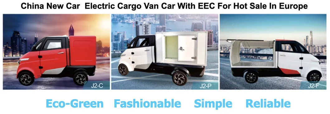 3 Wheel Electric Car with EEC Certificate for European Markt