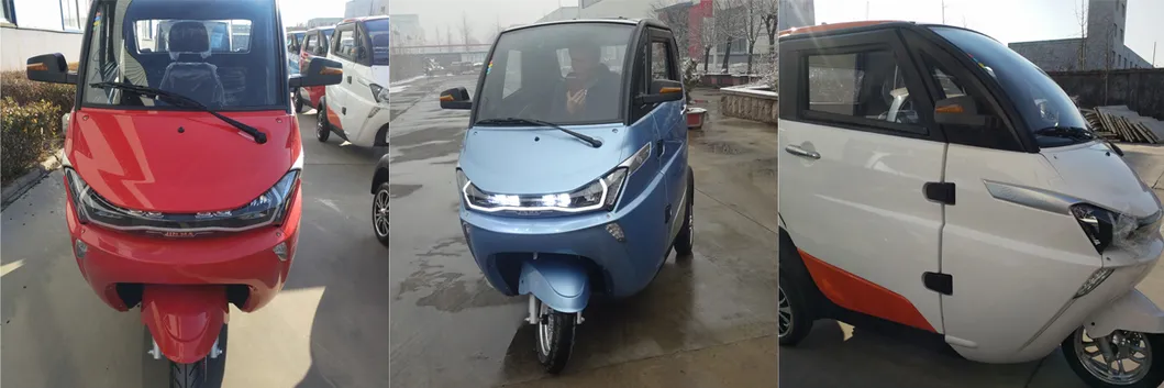 3 Wheel Electric Car with EEC Certificate for European Markt