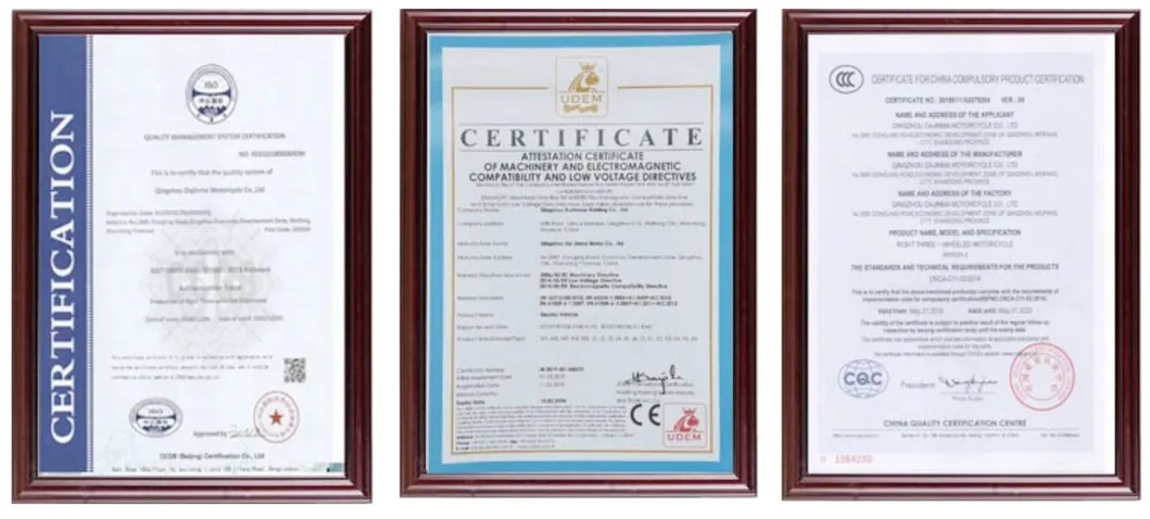 3 Wheel Electric Car with EEC Certificate for European Markt