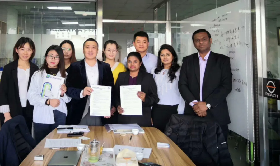 3 Wheel Electric Car with EEC Certificate for European Markt